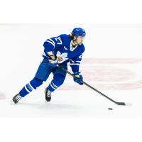 Defenseman Riley McCourt with the Toronto Marlies