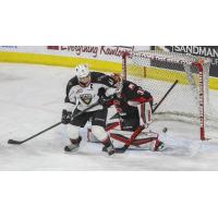 Vancouver Giants defenceman Alex Kannok Leipert vs. the Prince George Cougars