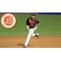 Long Island Ducks outfielder Daniel Fields