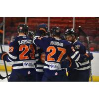 Greenville Swamp Rabbits celebrate a goal