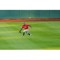 Wichita Wind Surge outfielder Gilberto Celestino