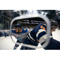 Jacksonville Icemen vs. the Greenville Swamp Rabbits