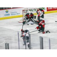 Prince George Cougars vs. Vancouver Giants goaltender Trent Miner