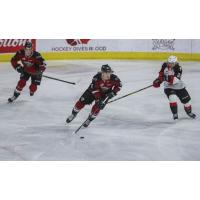 Vancouver Giants right wing Justin Lies with the puck vs. the Prince George Cougars