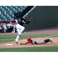 York Revolution infielder Carlos Franco