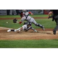 Oswaldo Cabrera of the Somerset Patriots slides home