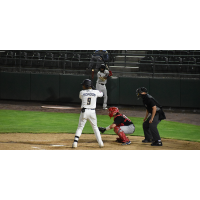 Adrian Rondon at the plate for the Tri-City Dust Devils