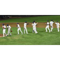 Tri-City Dust Devils exchange congratulations after a win
