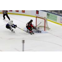 Prince George Cougars left wing Fischer O'Brien vs. the Victoria Royals