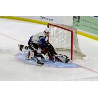 Prince George Cougars goaltender Taylor Gauthier vs. the Victoria Royals