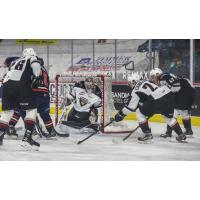 Vancouver Giants goaltender Trent Miner vs. the Kamloops Blazers