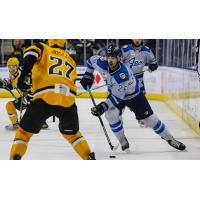 Jacksonville Icemen forward Pascal Aquin (right)