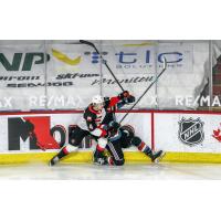 Prince George Cougars defenseman Ethan Samson flattens a Kelowna Rocket
