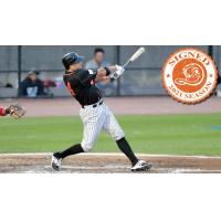 Long Island Ducks infielder T.J. Rivera