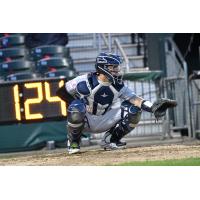 Somerset Patriots catcher Donny Sands