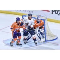 Greenville Swamp Rabbits forward Matt Bradley (center) vs. the Orlando Solar Bears