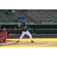 Lynchburg Hillcats infielder Jhonkensy Noel