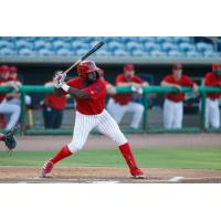 DJ Stewart of the Clearwater Threshers