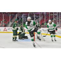 Texas Stars vs. the Iowa Wild