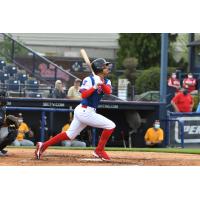 Reading Fightin Phils at the plate