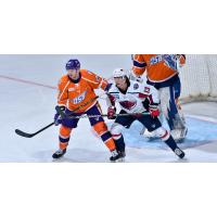 Orlando Solar Bears defenseman Matthew Spencer vs. the South Carolina Stingrays