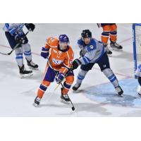 Jacksonville Icemen defenseman Michael Kim (right) vs. the Orlando Solar Bears