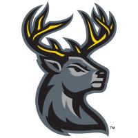 Iowa Heartlanders logo