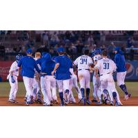 The Tulsa Drillers celebrate with hero Stevie Berman as he delivered the walk-off hit Friday night