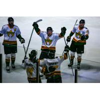 Utah Grizzlies in their Aquaman themed jerseys