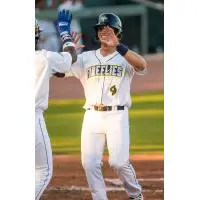 Jake Means of the Columbia Fireflies receives a greeting at home plate