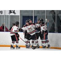 Aberdeen Wings gather after a goal against Minot
