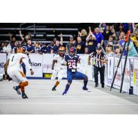 Sioux Falls Storm defensive back Brandon Roe vs. the Arisona Rattlers