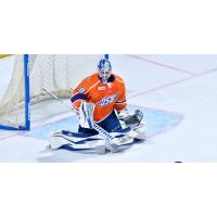 Orlando Solar Bears goaltender Clint Windsor