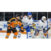 Wichita Thunder defend against the Fort Wane Komets