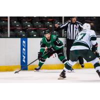 Texas Stars forward Riley Damiani