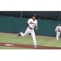 Charleston RiverDogs shortstop Alika Williams