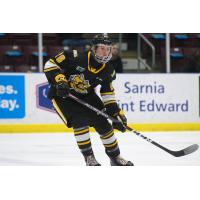 Sarnia Sting forward Nolan Dann