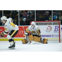 Sarnia Sting goaltender Benjamin Gaudreau