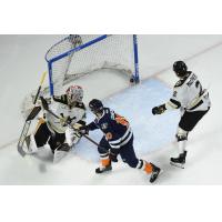 Shawn Cameron of the Greenville Swamp Rabbits scores against the Wheeling Nailers