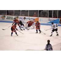 Wheeling Nailers test the South Carolina Stingrays defense