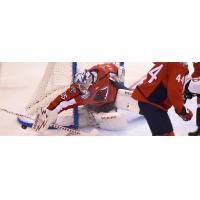 South Carolina Stingrays goaltender Hunter Shepard makes a stop against the Wheeling Nailers