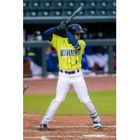 Herard Gonzalez of the Columbia Fireflies