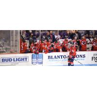 South Carolina Stingrays forward Matthew Weis receives congratulations from the bench