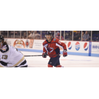 South Carolina Stingrays vs. the Wheeling Nailers