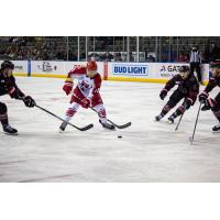 Corey Mackin of the Allen Americans (center) vs. the Rapid City Rush