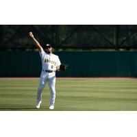 Charleston RiverDogs outfielder Hill Alexander