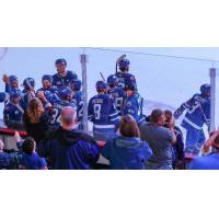 Wichita Thunder Skate off after a win against the Tulsa Oilers