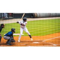 Joe Gray Jr. at bat for the Carolina Mudcats