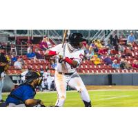 Joe Gray Jr. at bat for the Carolina Mudcats