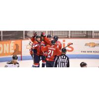 South Carolina Stingrays celebrate a goal